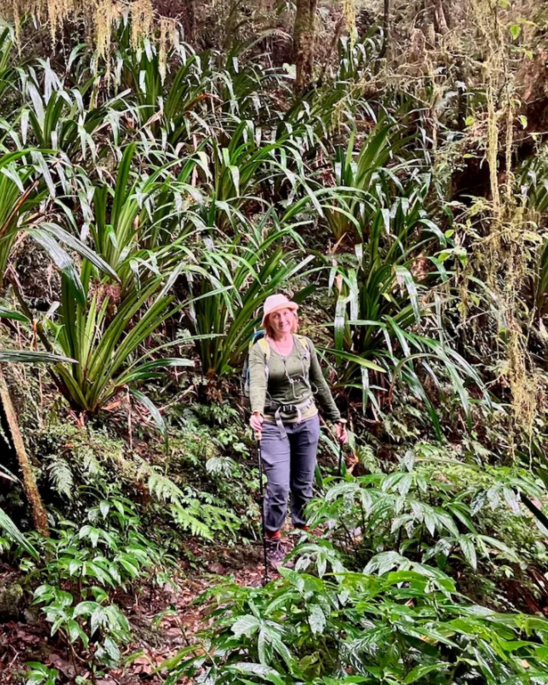 Carol Gold Coast Hinterland